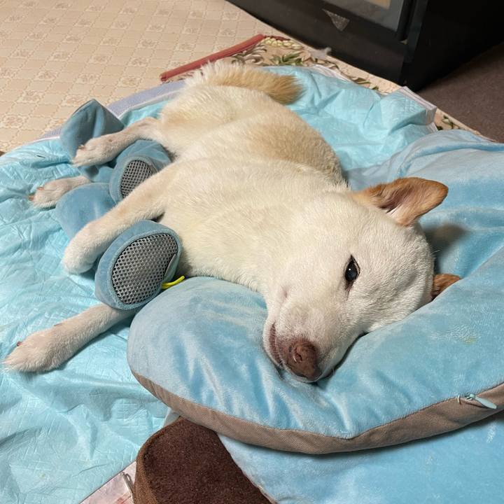 5516c87a 20a0 431d ad80 6ababcbc34b9 1661435088350