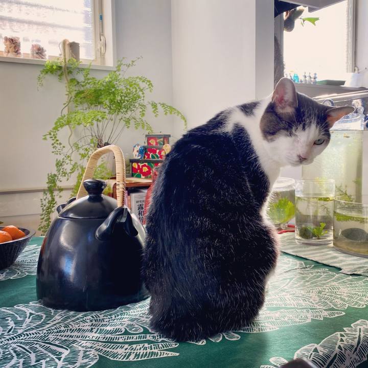 55172ad0 f6d5 4e29 8ea2 f8380a61df84 1606629006695