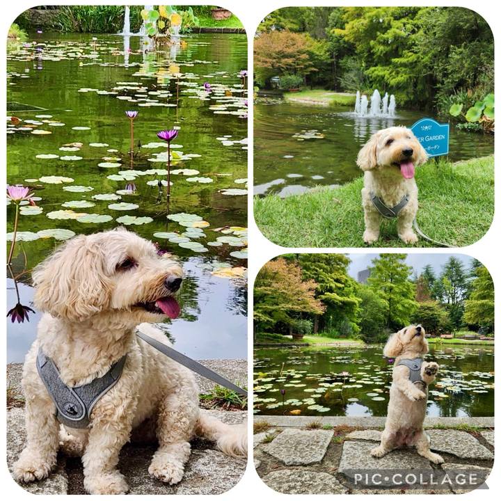 55172beb 14ae 4398 b52f dab1dd9159a0 1760055430085