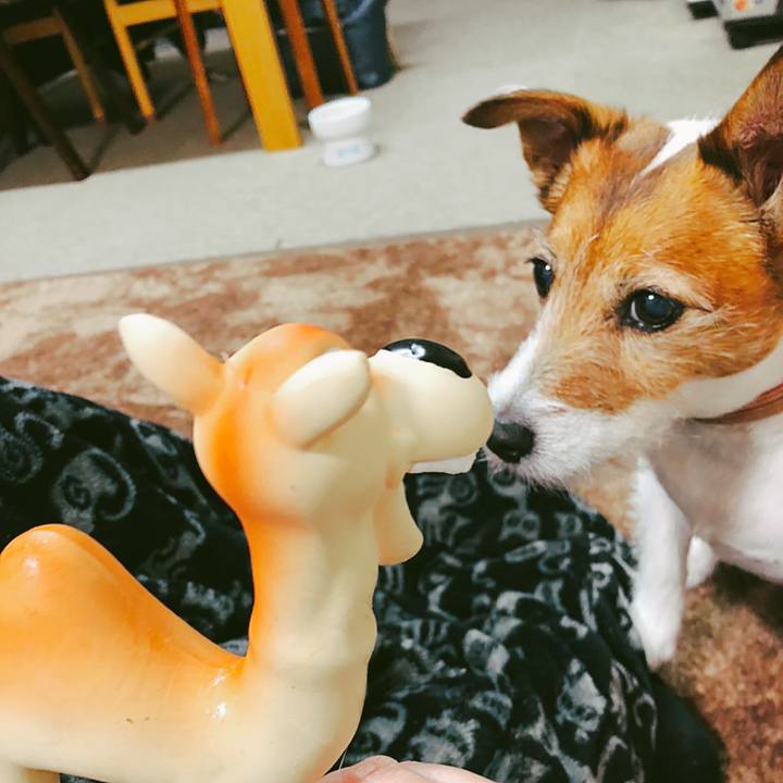 55173a59 e00e 4500 8615 8e2f5bb0e77c 1583993277931