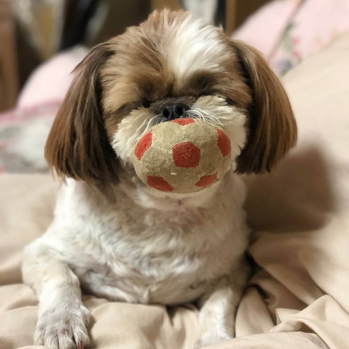 55178775 a129 44a8 86e6 6e61eb82ad47 1523788104580