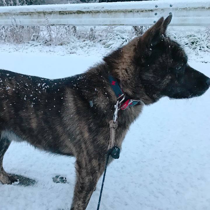 5517c96b 0bc4 4964 b68e 347ca6c17843 1515623648087