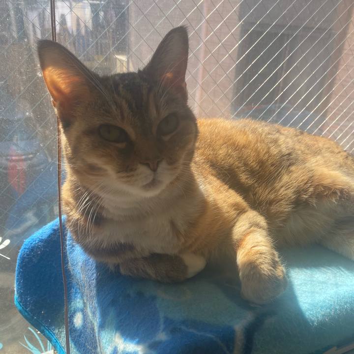 5517fc58 0247 45bd 835c cc299a4bb6a1 1740277473501