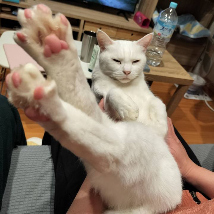 551808c6 662f 4099 bcae e9c220a42fd7 1767536880295