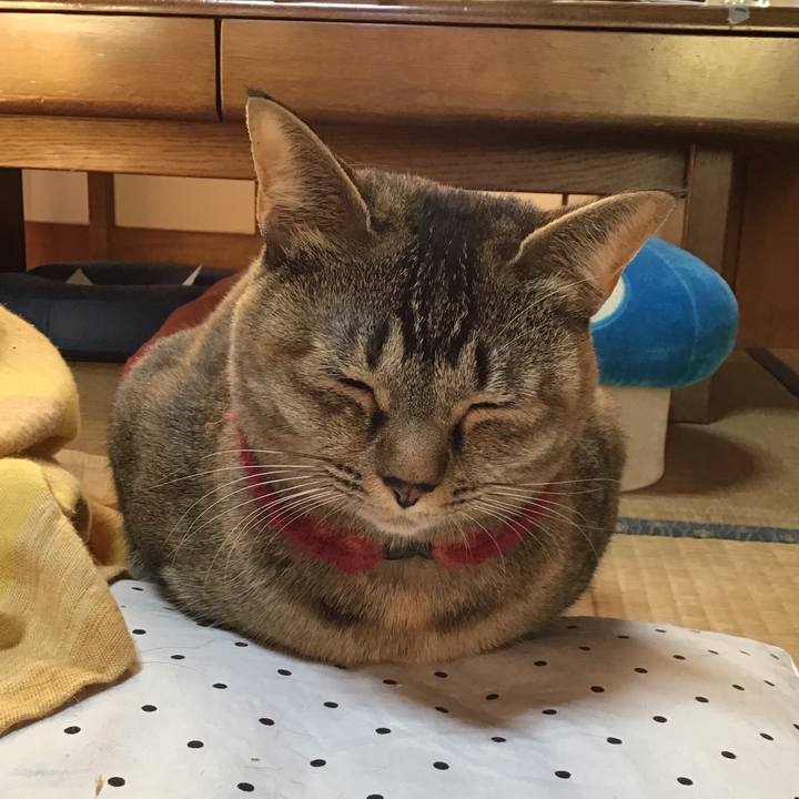 551827be e49b 4a28 bdbe 0b19c5fdc0fd 1612165339309