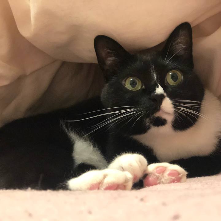 55182e67 0292 4c8f 97b9 38249a7dc133 1563146654314