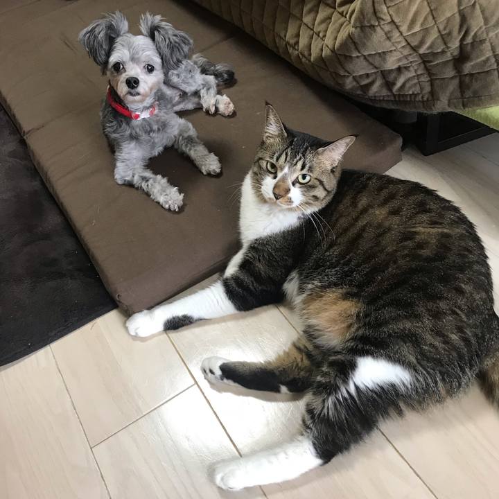 551833a3 bb2b 4c2e 9bd2 4a6852bef3ec 1540261058812