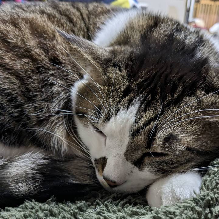 55185f9f b2dd 4ce9 a293 9f6a25a4d11f 1707728531472