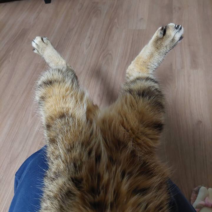 55186997 6dc5 4060 ba3d 942b19508e54 1771235789068