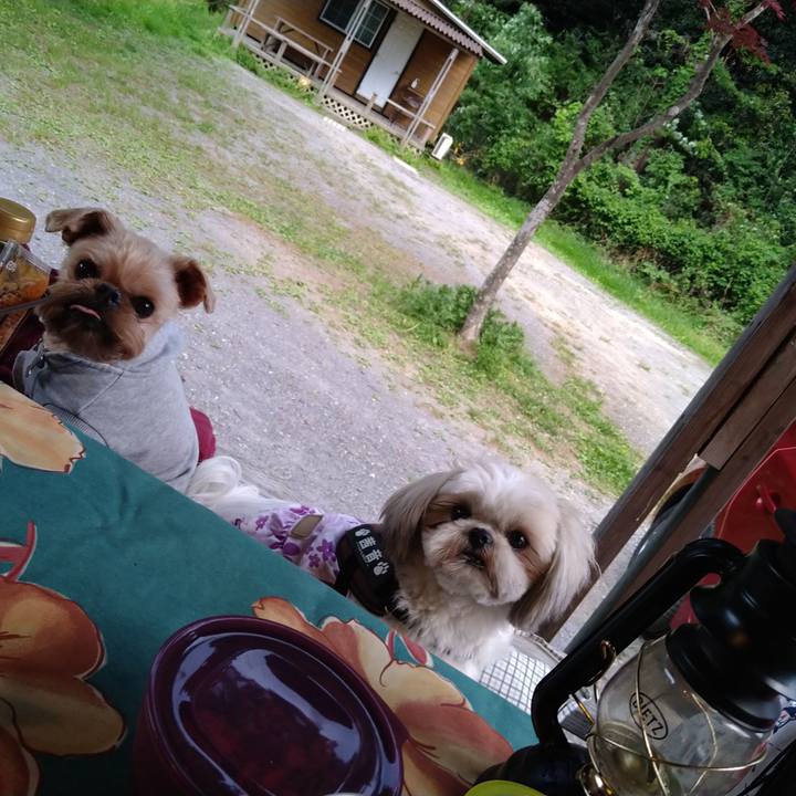 55186e90 14d5 4d92 a6cd 06d092ef9f75 1619348724963