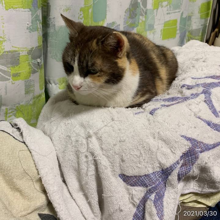 55188974 9544 4acb adbd 9153099421ef 1617142341844