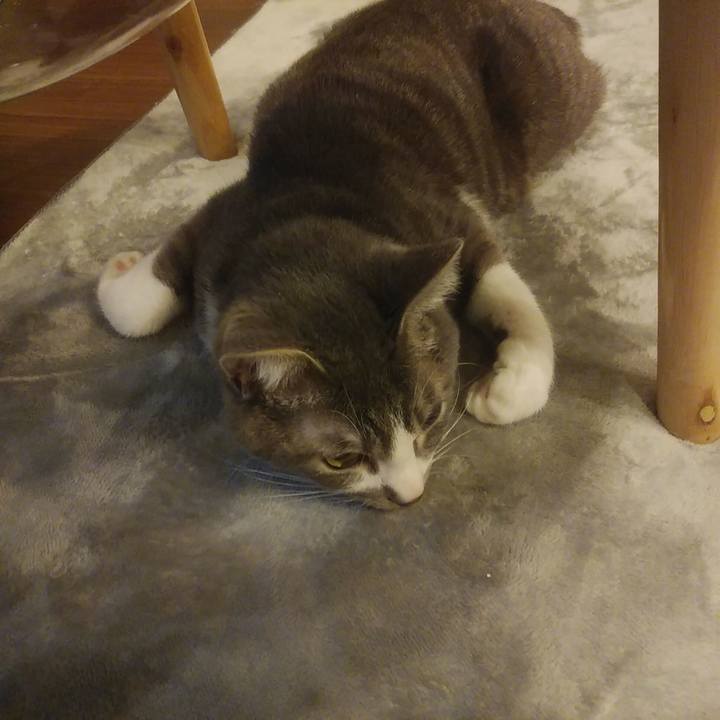 5518a854 fafc 4e89 be55 c79068f66c6f 1587909487111