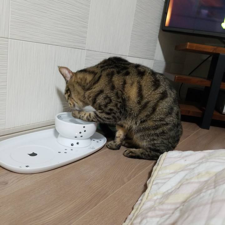 5518a94e ae1f 445e bdec f58710377e59 1582977008107