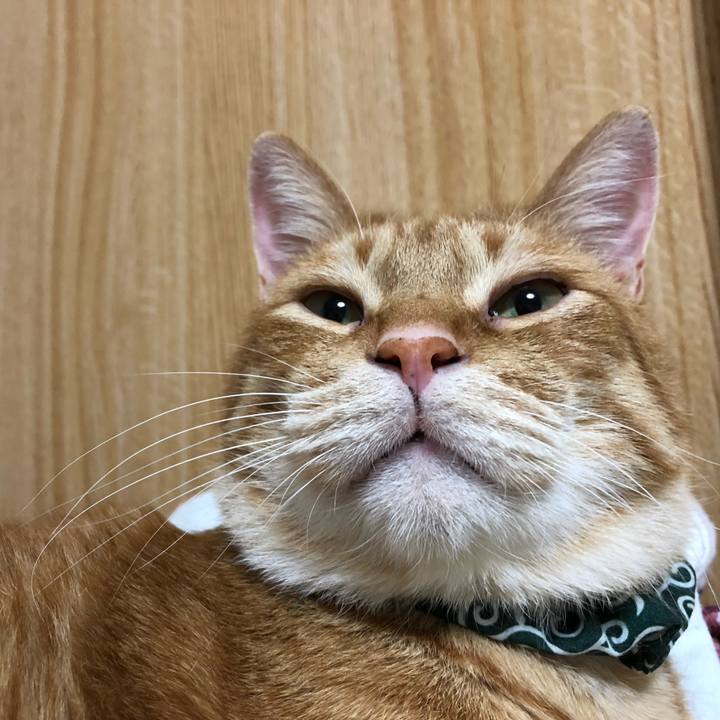 5518eded 3f72 4cbd 9393 684df64688b2 1582301475640