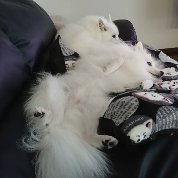 5518f96c 35eb 4509 b353 44d7f6f458cc 1601005414382