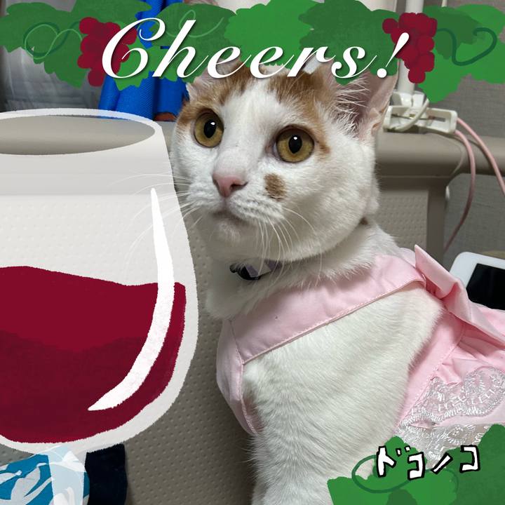 5519113c afaa 49ba a0ad f9e49b956f61 1762167437374