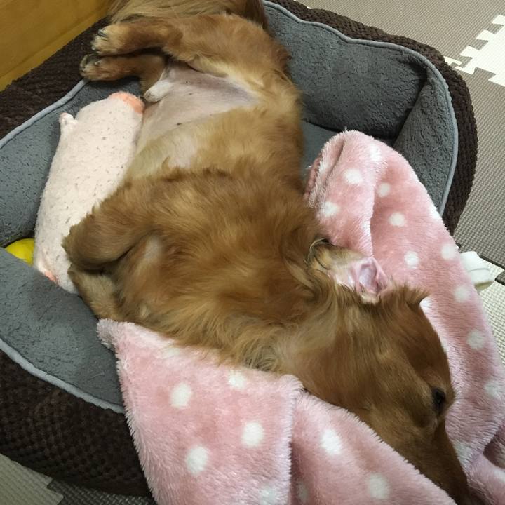 55193b07 5cb8 46da bf23 ec41dbcc7a71 1515418335087