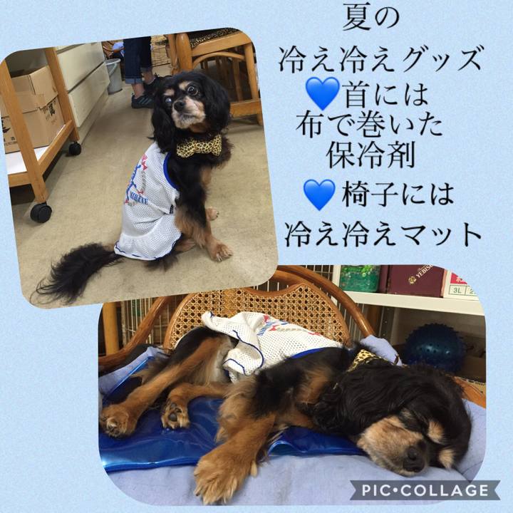 5519444e e003 419b 939e 240c0f97cda8 1589358774302