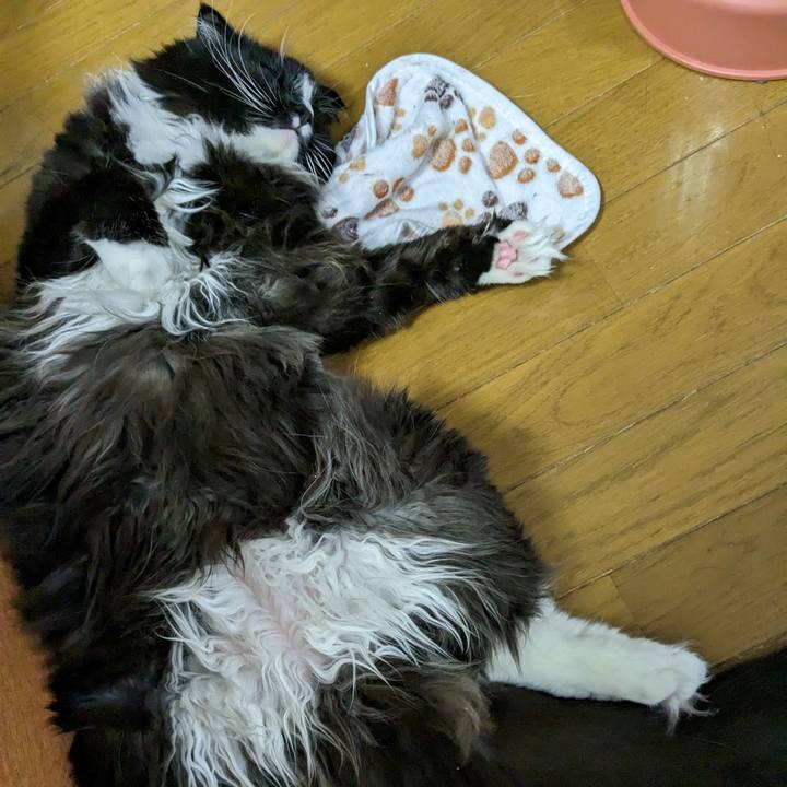 55194a54 eccb 44e3 b303 68557d585f05 1681824155815