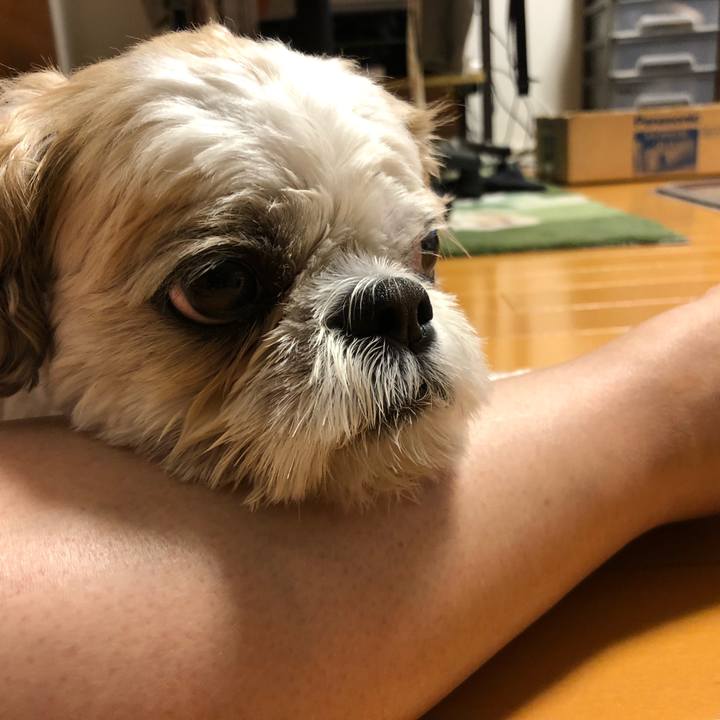 55194afd ea30 46d3 aae1 befbab2b552e 1593726223454