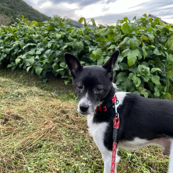 55194e2b 17f6 462d a2f4 1501729989eb 1696680656396