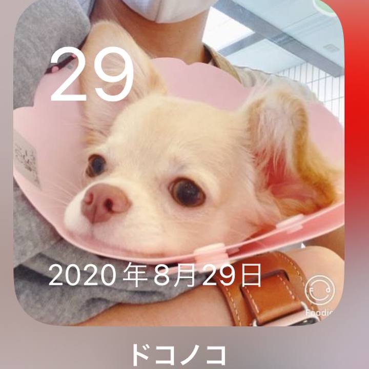 55195130 8c95 4900 9407 8ddd875f0dcf 1693314684676