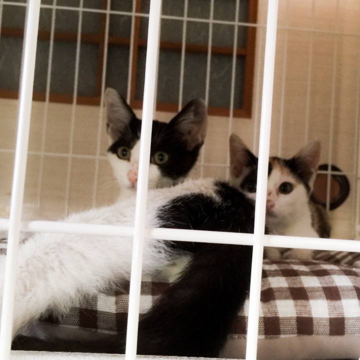 551975b3 5aa9 4eb7 8e89 4ebda2233b1c 1564968414570