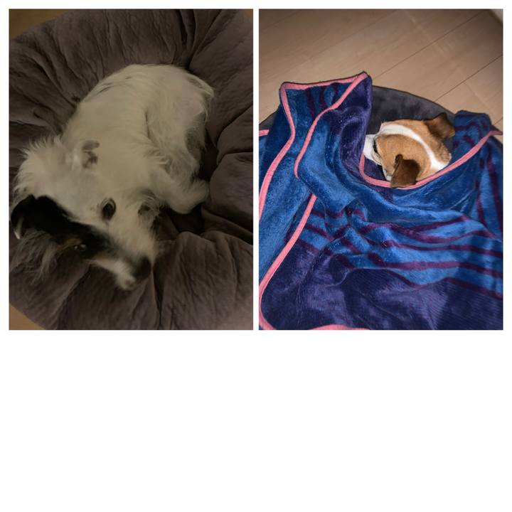 55197c97 1240 4d47 882a 477ba00be2f0 1636206137720