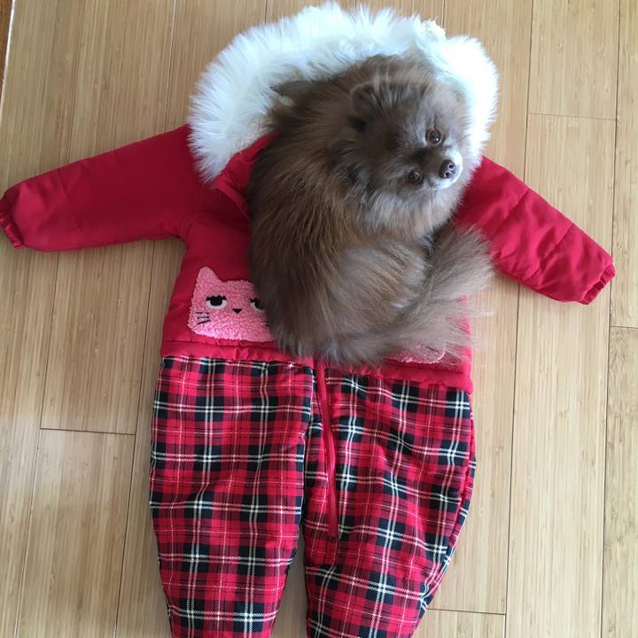 55199906 107f 442a bd2c 6db5d1fa33ae 1520989395547