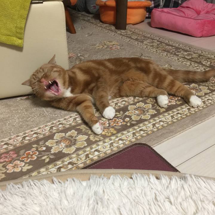 55199ed1 3f0d 4497 87a1 0baf818d9223 1548590233197