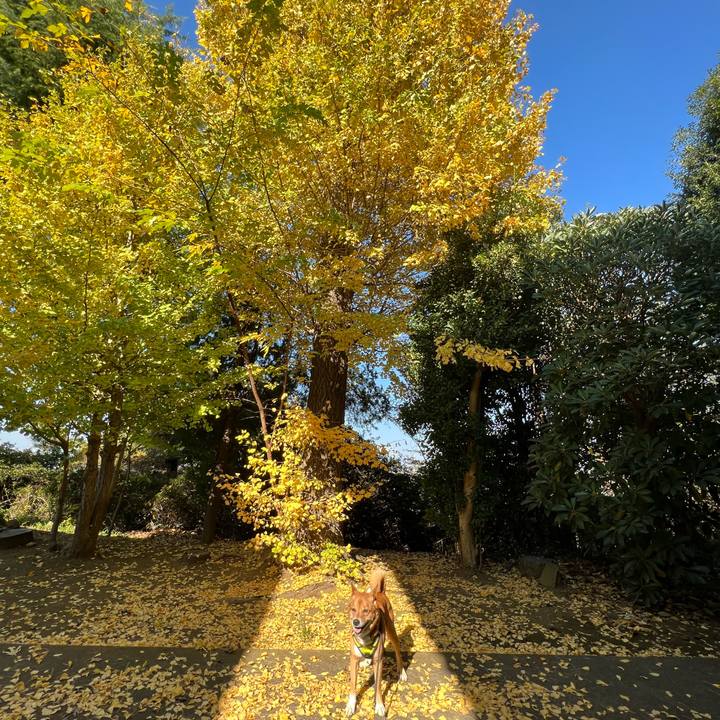 5519d30f a8e4 47bd bf00 5e0a16f6051d 1668937776232