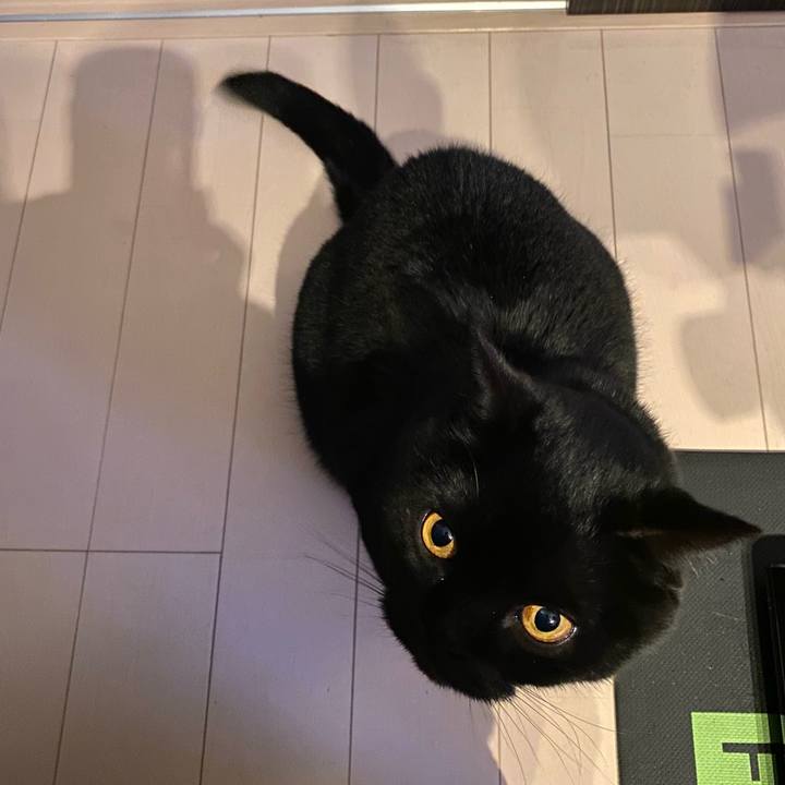 5519fc18 7083 4874 b0e4 397940899d66 1712490833287