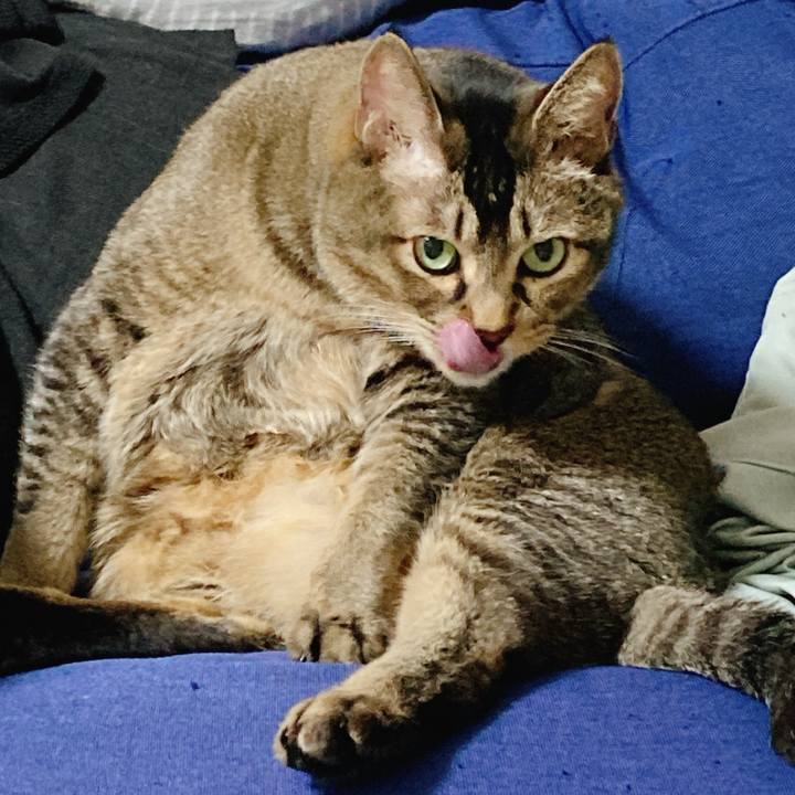 551a0895 7399 4983 b974 e6120e6a3ee2 1735921895639