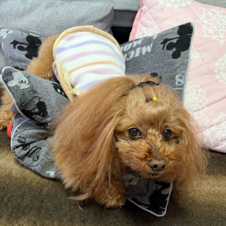 551a53b3 2415 4e5a a643 679b37d172c5 1769213753680