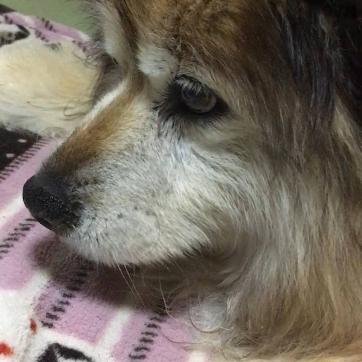 551ab505 01c7 4a13 abf1 242226c8709f 1615164957121