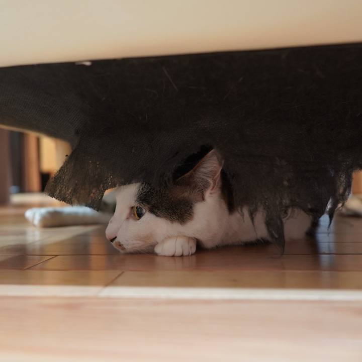 551acfc4 ff2b 4445 bd4d 6aa5aa1dc7e4 1588769536418