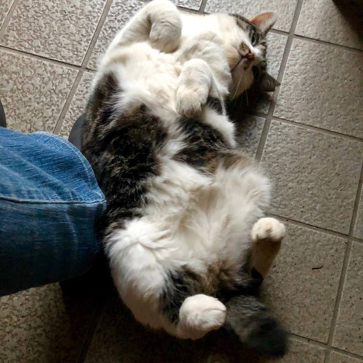 551ada20 3bbc 4bb6 8b45 4e0eae914075 1540284146810