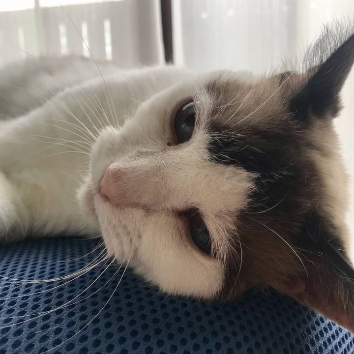 551aedf3 c2b7 44bd b377 45bffdd12334 1629277319568