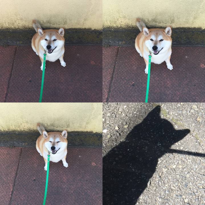 551af303 6ad0 43a6 b718 2d26e637db84 1601432431332