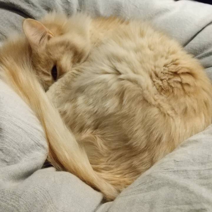 551b1b42 dbf4 40b4 a426 232838f43914 1645653098627