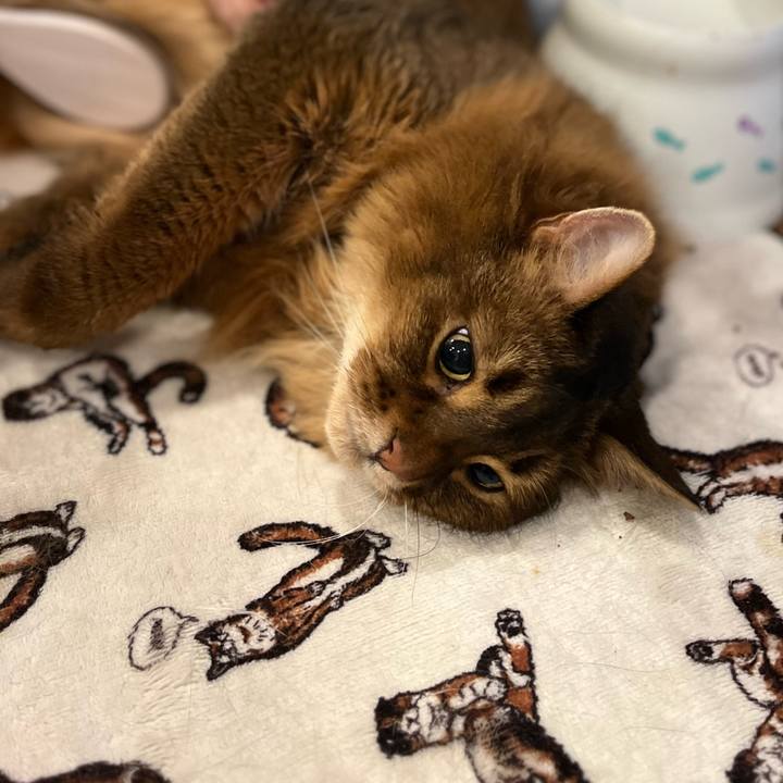 551b9828 4486 4f0c 9ba7 6e14f44347b6 1688010460907