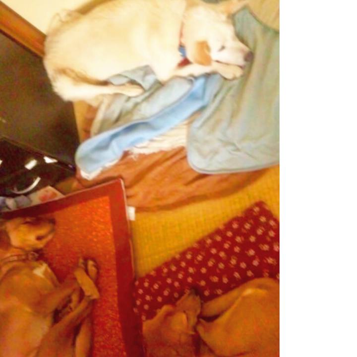 551bd0ab fed6 4eb6 888a 79b30e23ff05 1556557595042