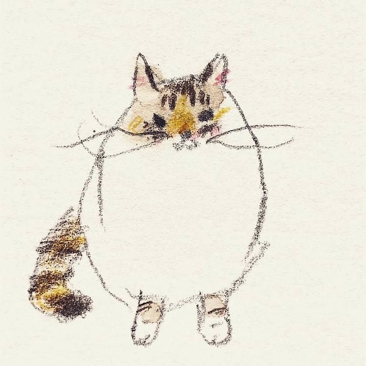 551c113e 1cc0 4f0a 8f07 bc890ff53485 1639288094587