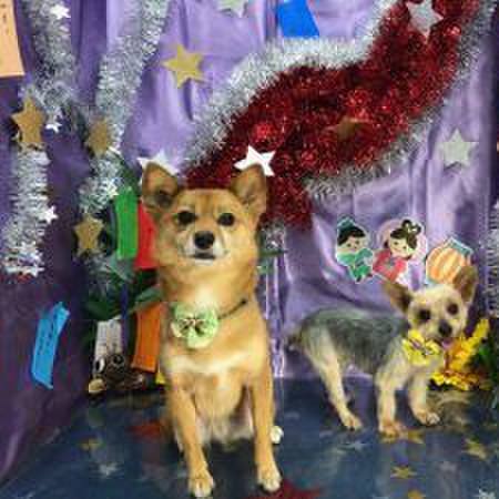 551c1353 7794 47ad a055 b3e3af77ad24 1595480958934