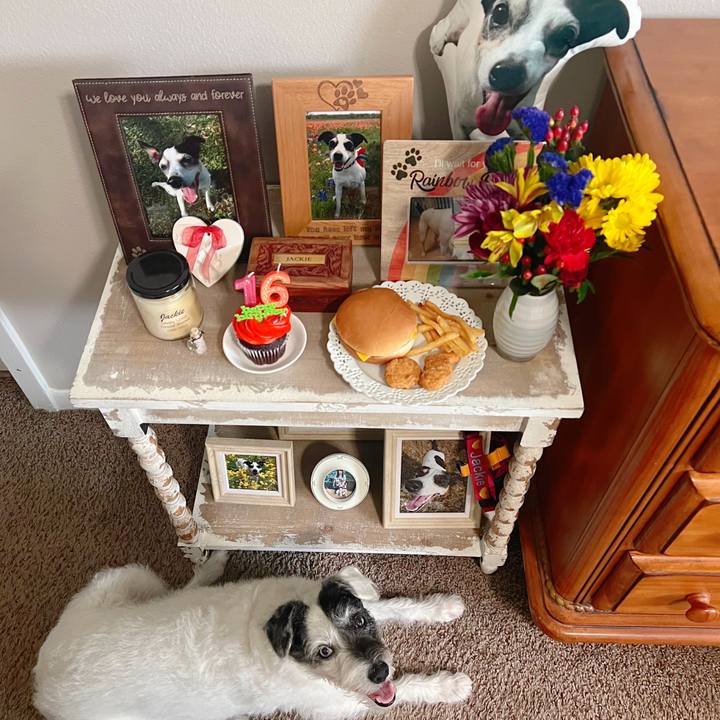 551c1cb3 4481 48d1 88c7 c4d69cbbd37a 1661033159323