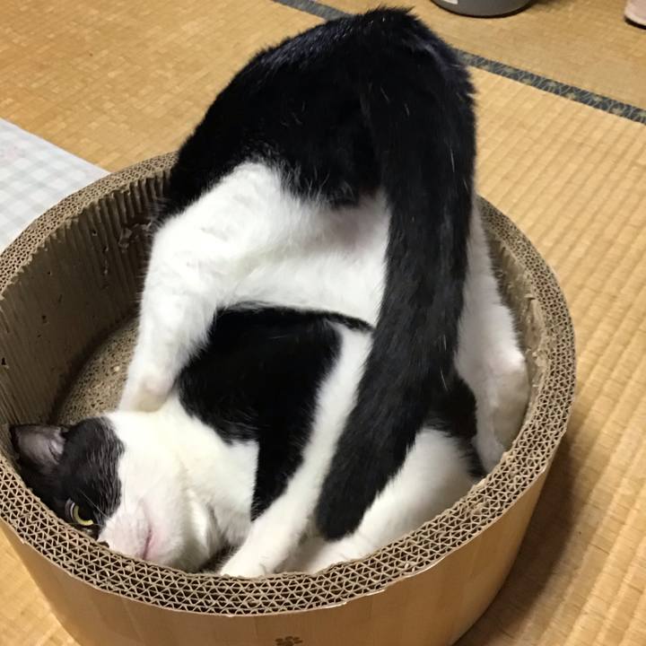 551c29a0 83e7 43f4 abea 2d74213095ec 1722762261130