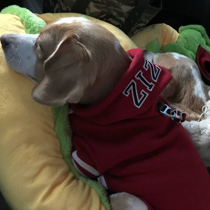 551c3e0d 7706 4f37 8755 cee124177404 1513496144397