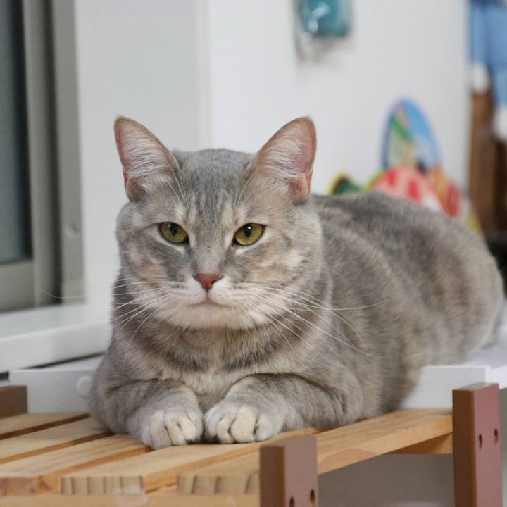 551c4cfb 307f 4d8c a6a5 c3b9f9536caf 1520298445931