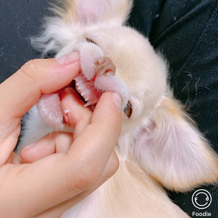 551cc577 bdf7 4750 8a25 cb7b909372b3 1593055775865