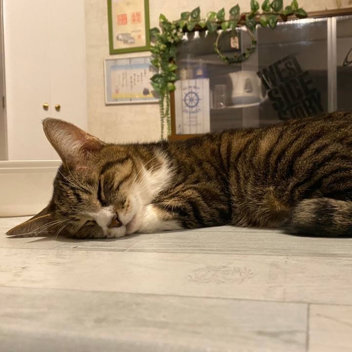 551ddc3c e154 4cc5 987b 06788f40b070 1643076292739